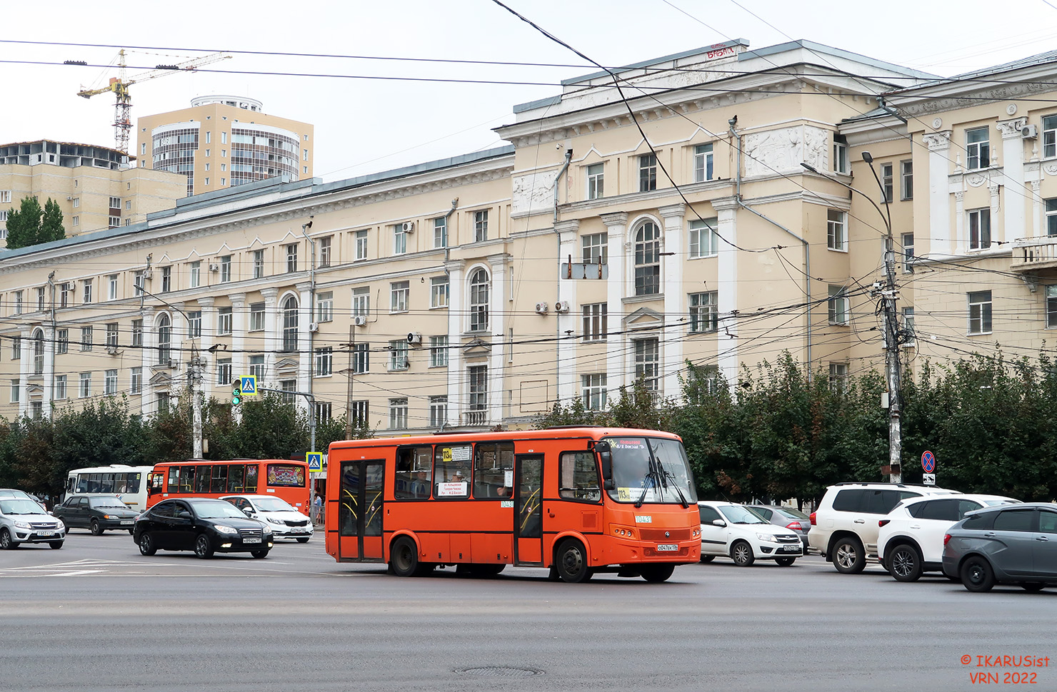Воронежская область, ПАЗ-320414-05 "Вектор" № 10431