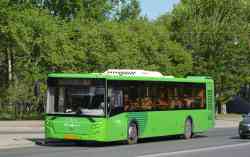 598 КБ