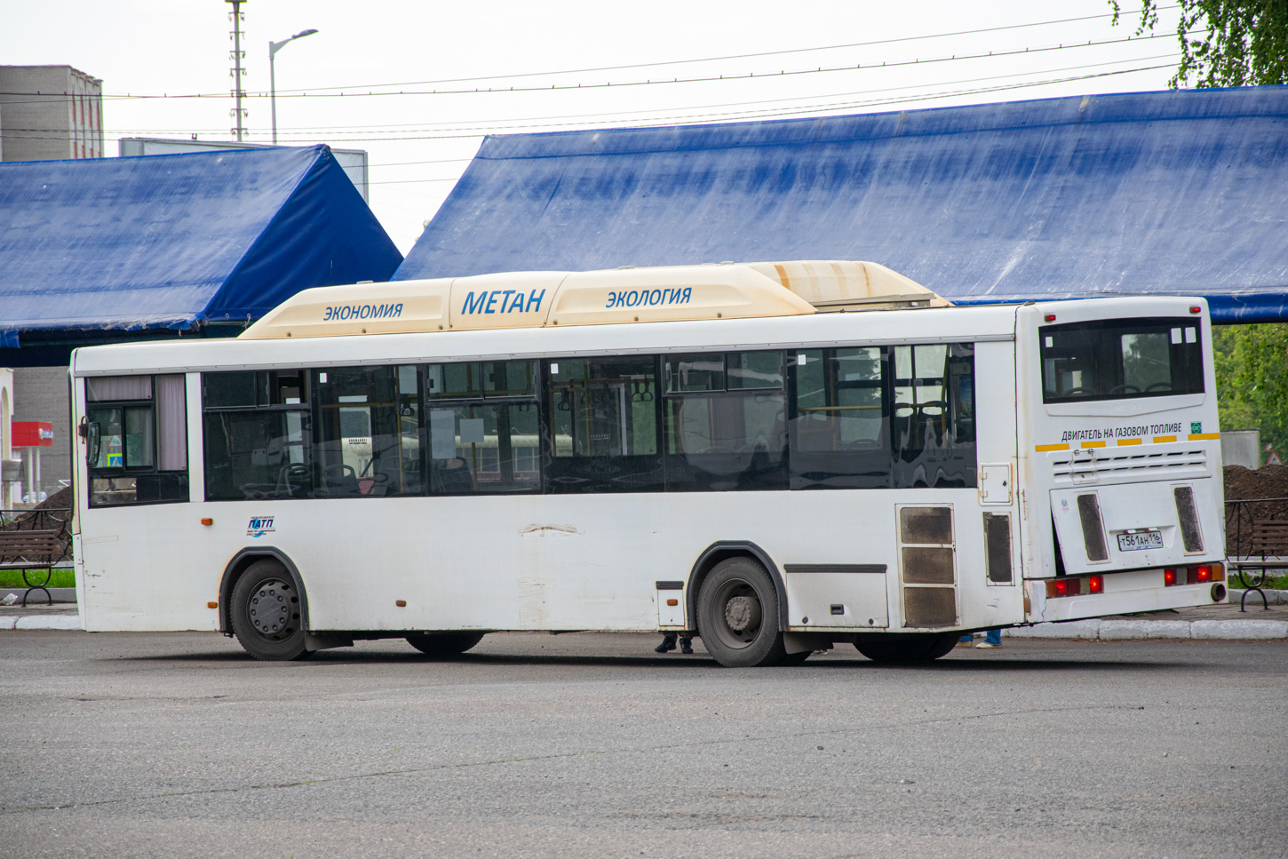 Татарстан, НефАЗ-5299-30-31 № Т 561 АН 116