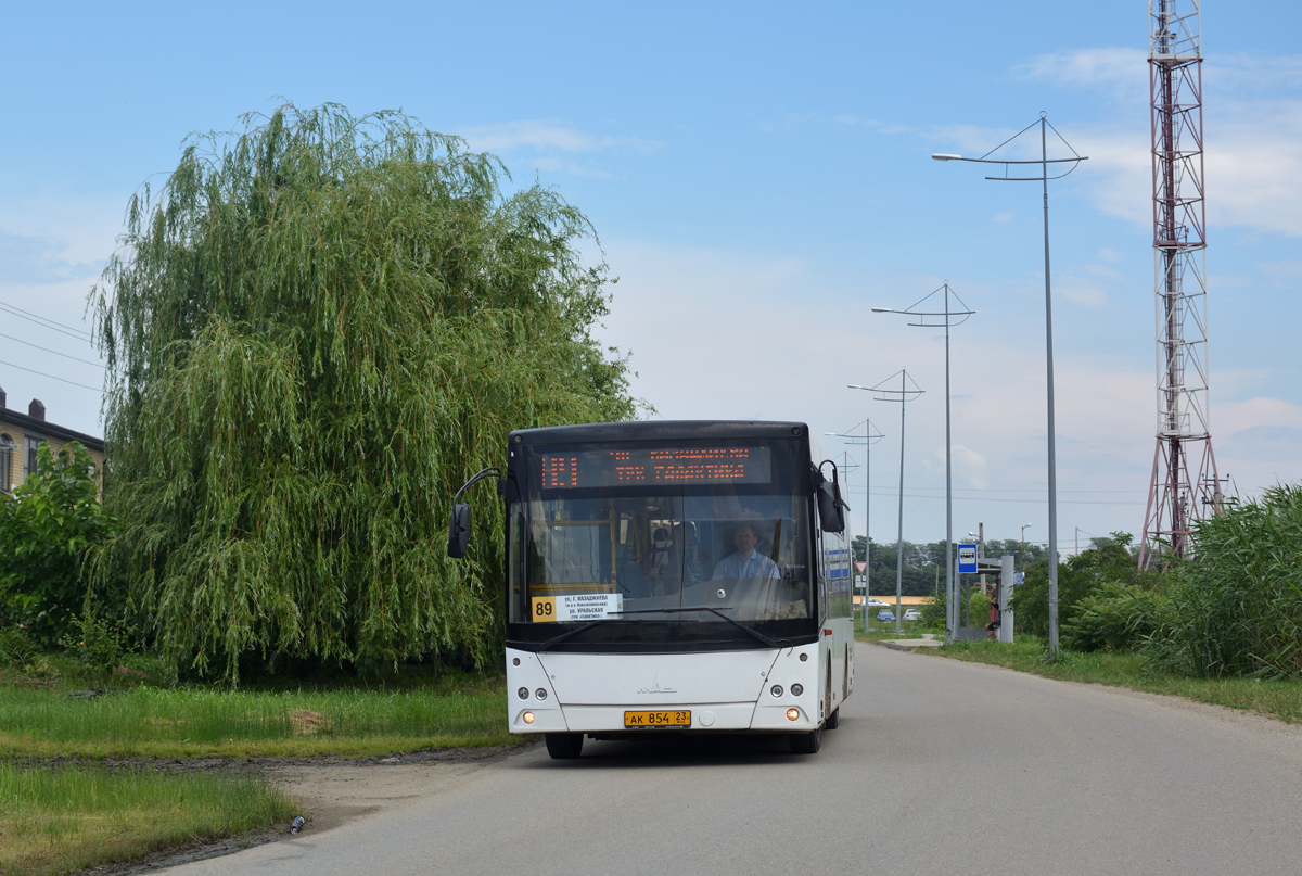 Краснодарский край, МАЗ-206.086 № 636