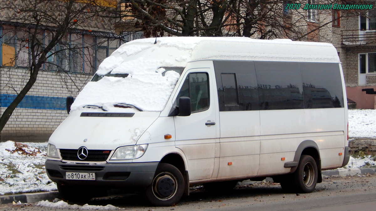 Белгородская область, Луидор-223201 (MB Sprinter Classic) № О 810 АК 31