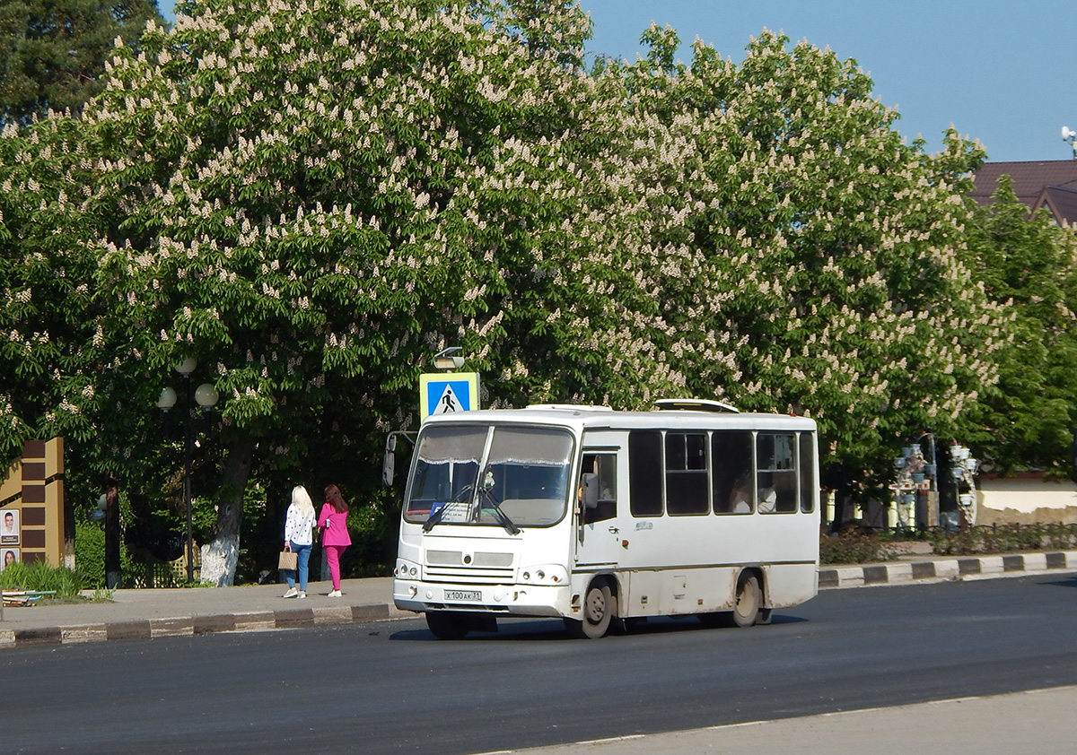 Белгородская область, ПАЗ-320302-08 "Вектор" № Х 100 АК 31