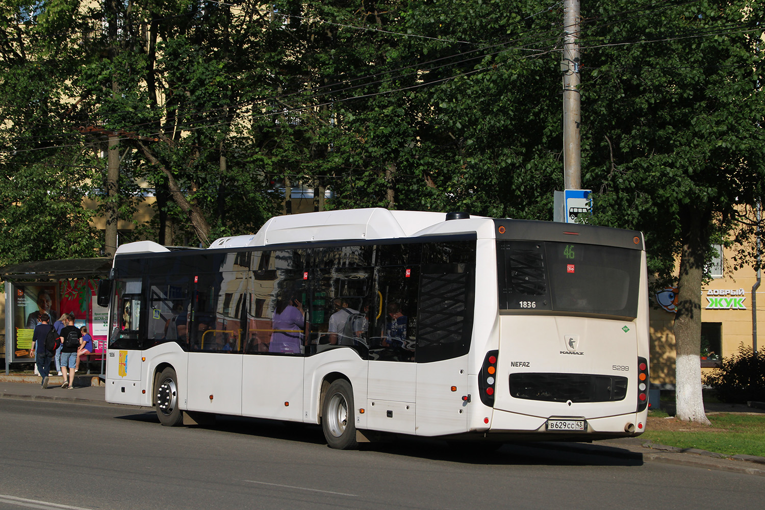 Кировская область, НефАЗ-5299-40-57 (CNG) № х836