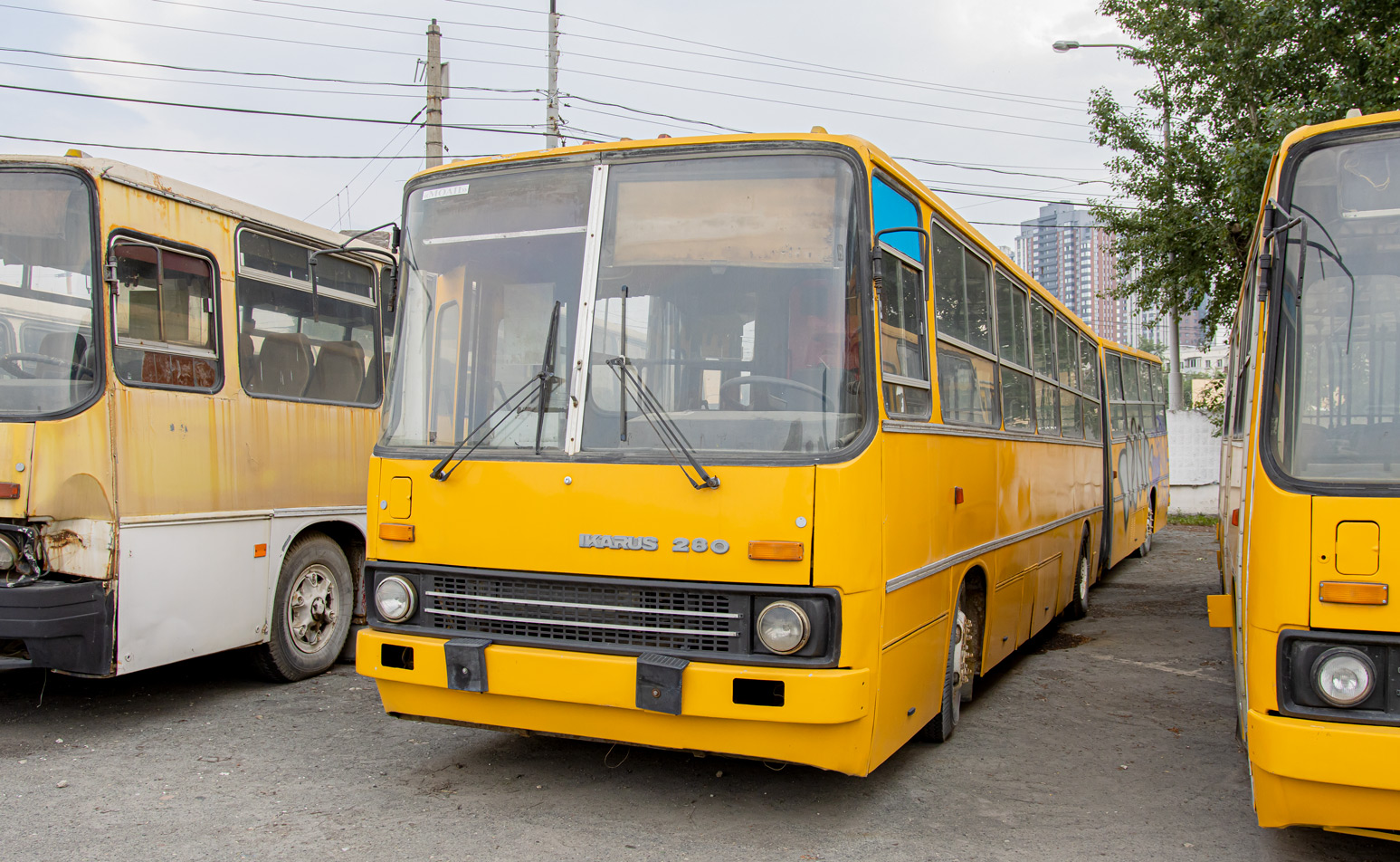 Свердловская область, Ikarus 280.80 № Ikarus 280