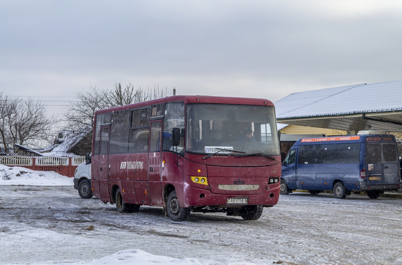 Гомельская область, МАЗ-256.170 № 032920
