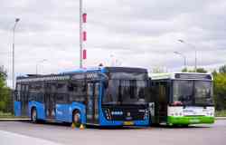 589 КБ