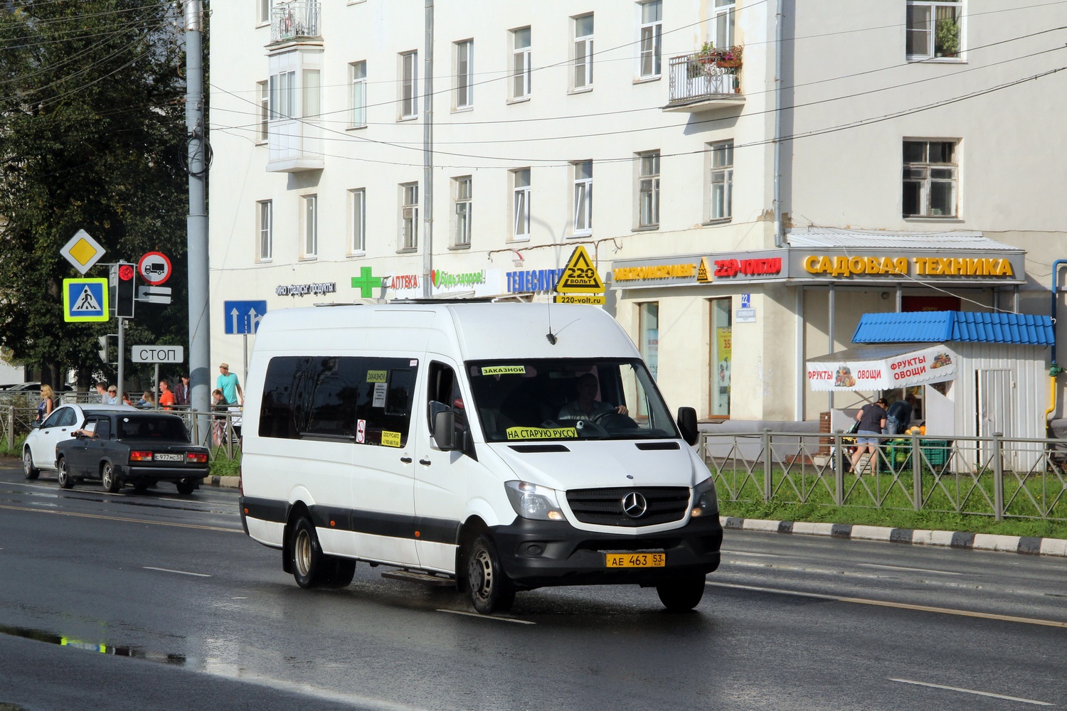Новгородская область, Луидор-223690 (MB Sprinter) № АЕ 463 53