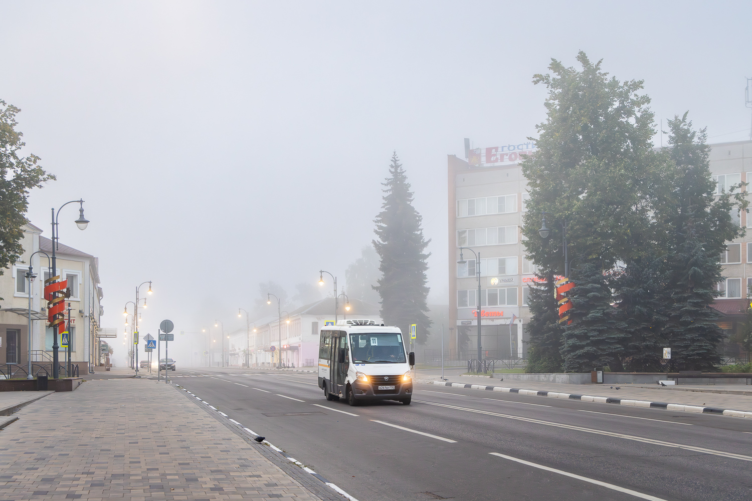 Московская область, Луидор-2250DS (ГАЗ Next) № 045593