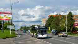 593 КБ