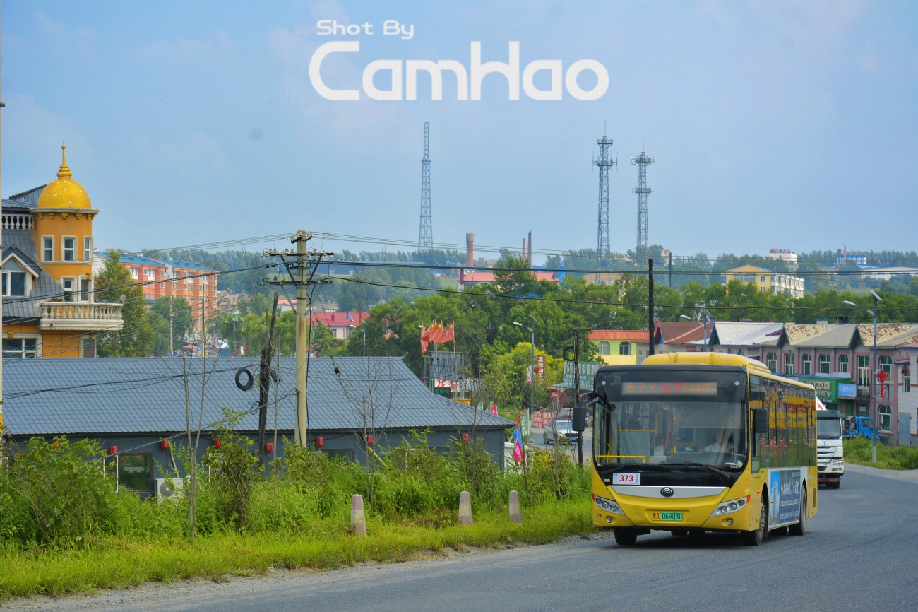 Китай, Yutong E10 (ZK6105BEVG55) № 黑A 06903D