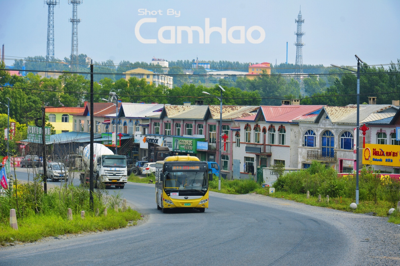 Китай, Yutong E10 (ZK6105BEVG55) № 黑A 06903D