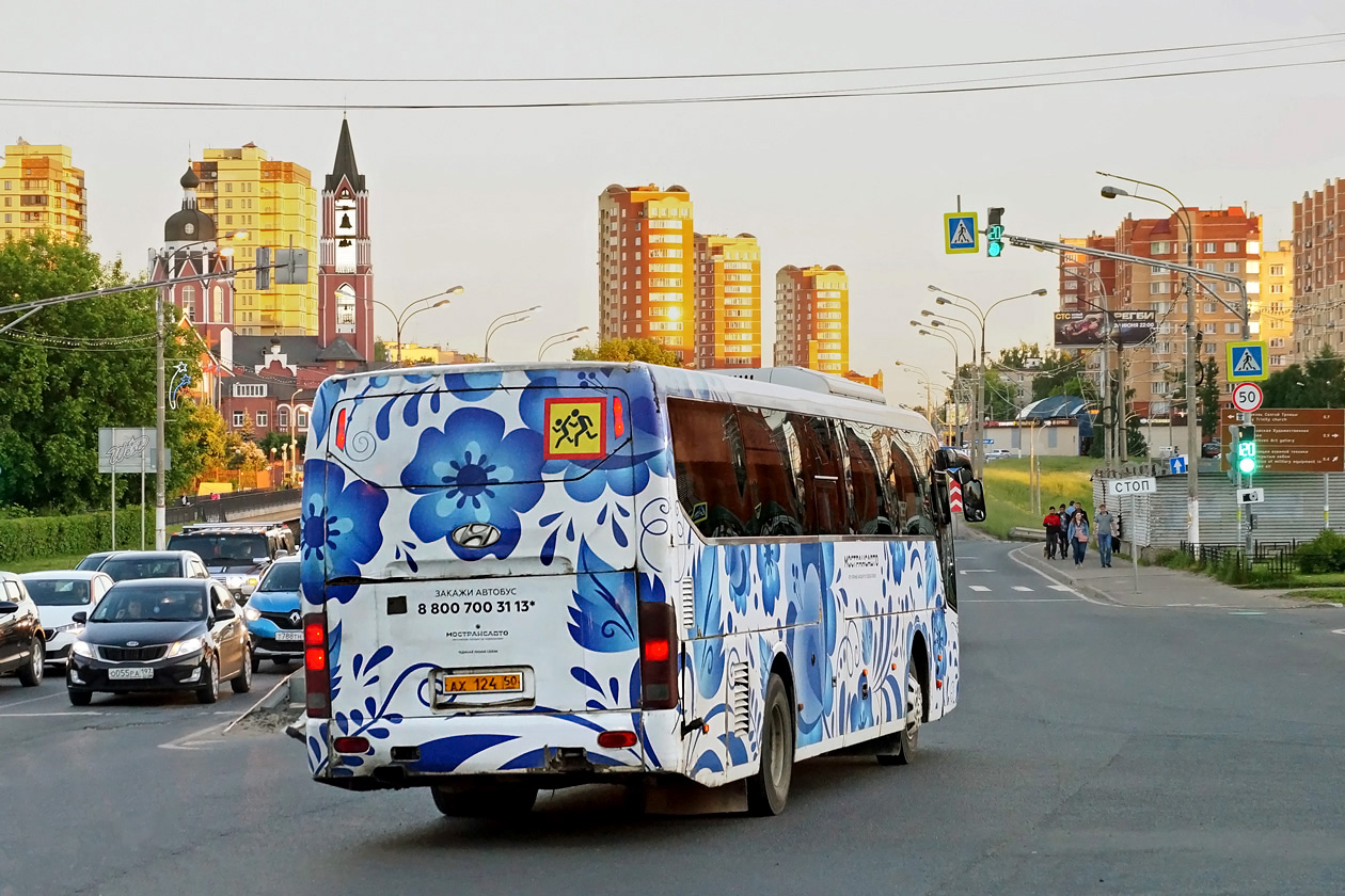 Московская область, Hyundai Universe Space Luxury № 114233