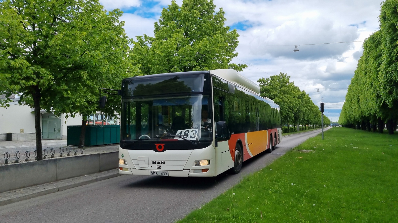 Швеция, MAN A26 Lion's City L NL313-15 CNG № 6006