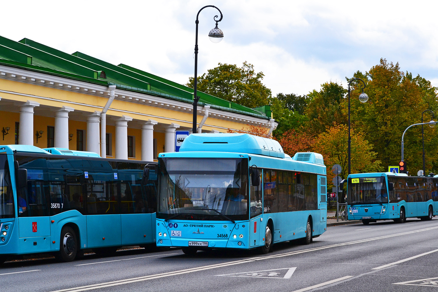 Санкт-Петербург, МАЗ-203.C46 № 34568