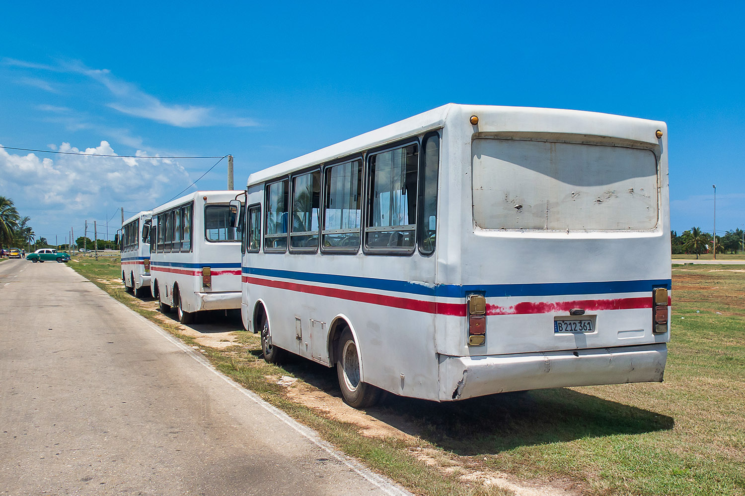 Cuba, Girón Diana # B 212 360; Cuba, Girón Diana # B 210 618; Cuba, Girón Diana # B 212 361