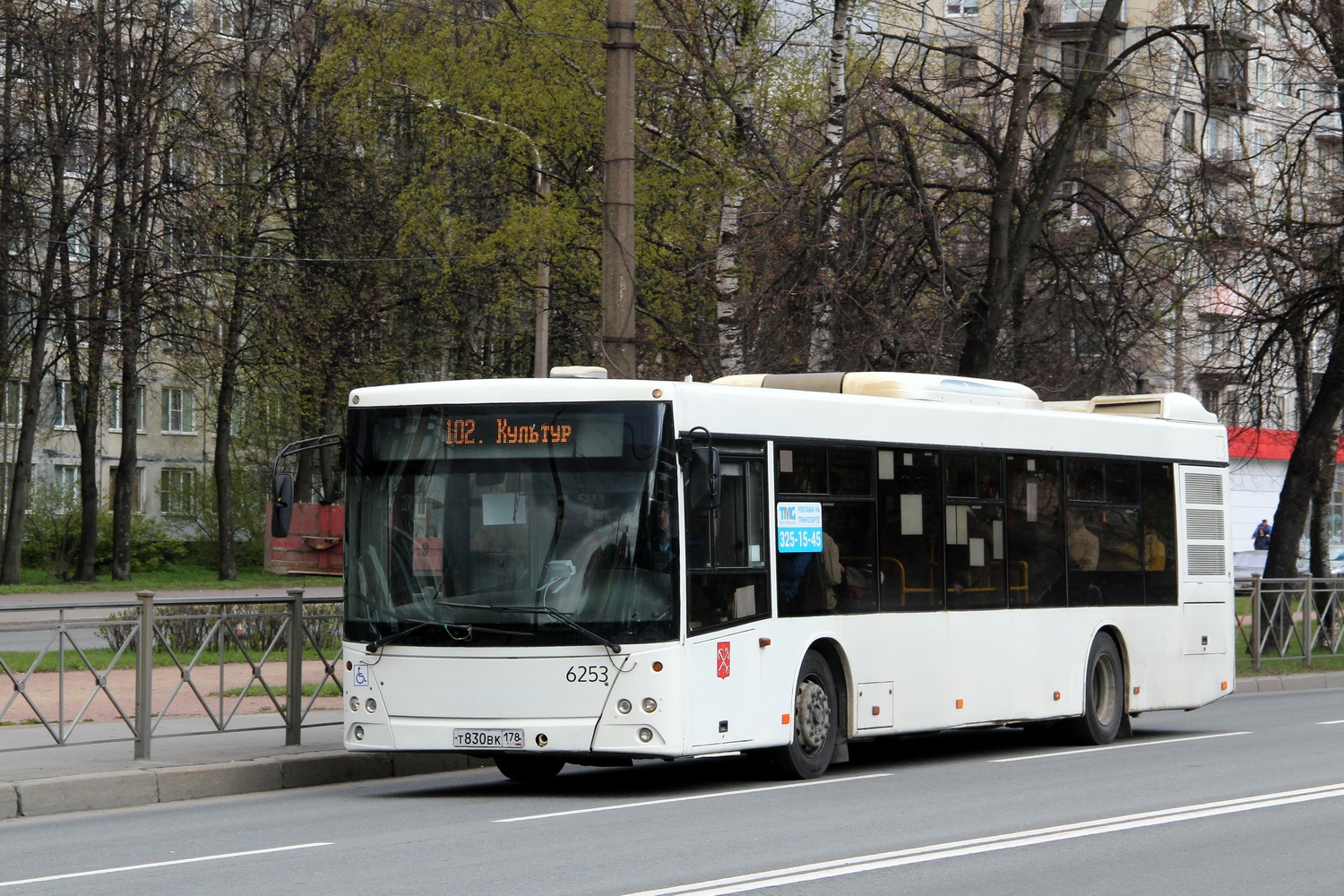 Санкт-Петербург, МАЗ-203.085 № 6253