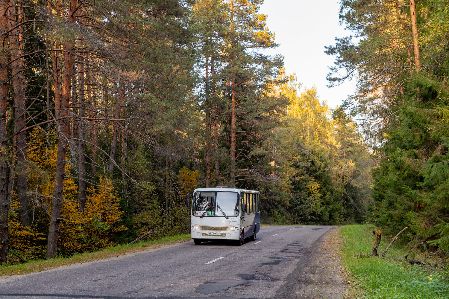 Ярославская область, ПАЗ-320412-04 "Вектор" № 569
