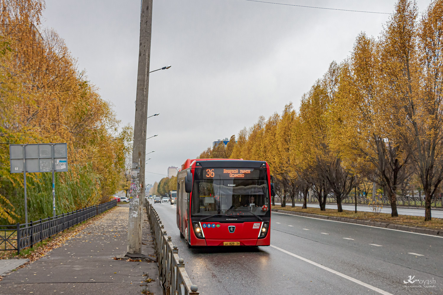 Татарстан, НефАЗ-5299-40-57 (CNG) № 639