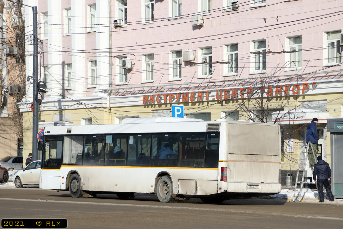 Воронежская область, MAN A21 NL263 № К 066 ХМ 159