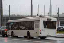 203 КБ