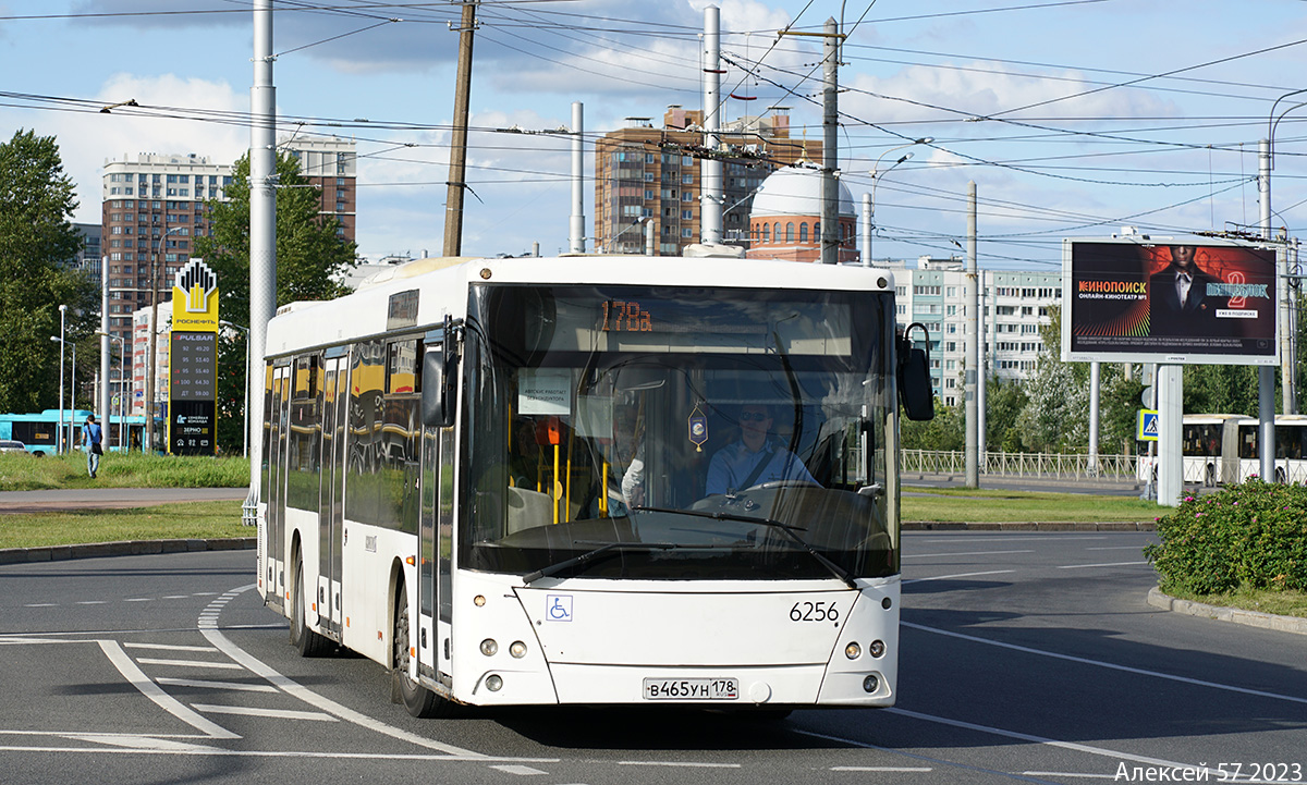 Санкт-Петербург, МАЗ-203.085 № 6256