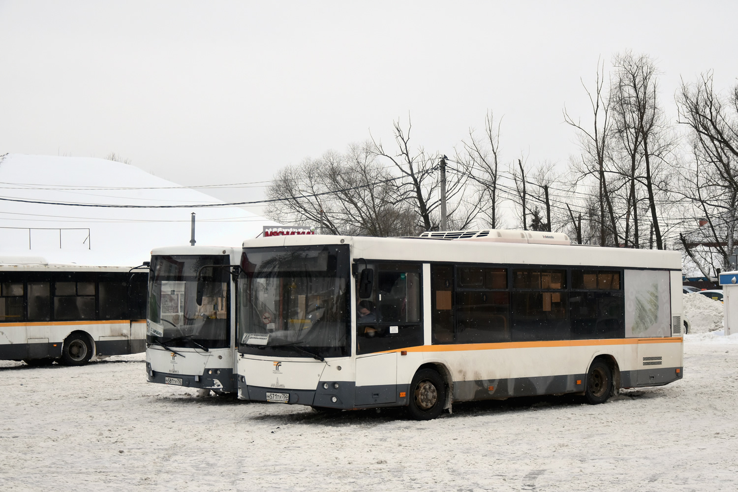 Московская область, МАЗ-206.086 № Н 571 ТУ 750