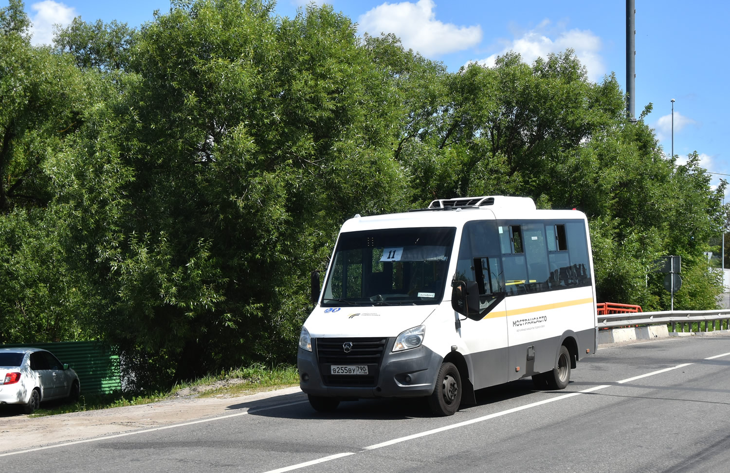 Московская область, Луидор-2250DS (ГАЗ Next) № 045599