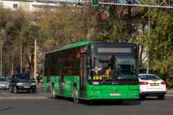 557 КБ