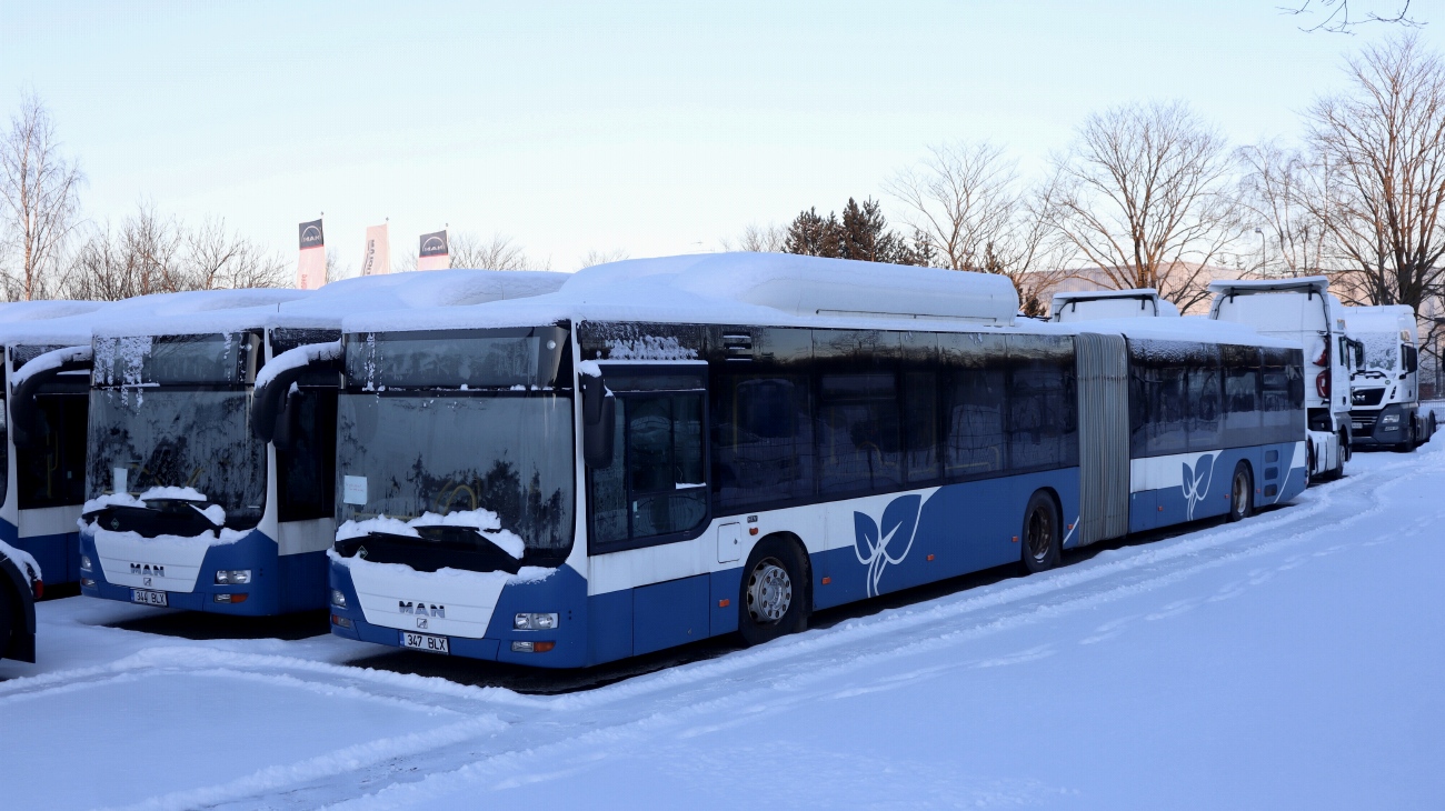Эстония, MAN A23 Lion's City G NG313 CNG № 347 BLX