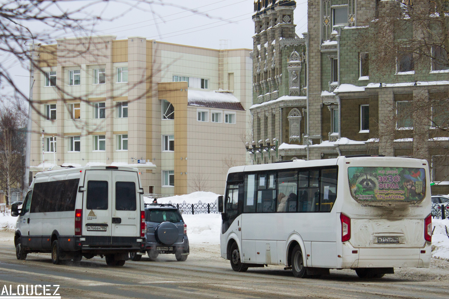 Ханты-Мансийский АО, Нижегородец-2227US (IVECO Daily) № М 766 ВН 186; Ханты-Мансийский АО, ПАЗ-320435-04 "Vector Next" № К 717 ХР 186