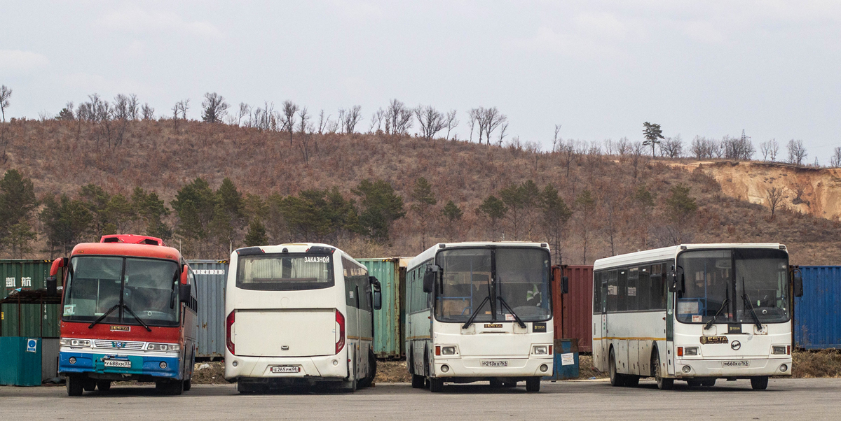 Амурская область, Kia AM948 Granbird № У 688 КМ 03; Амурская область, Golden Dragon XML6127JR Snow Leopard № Е 265 РМ 08; Амурская область, ЛиАЗ-5256.58 № Р 213 КХ 761; Амурская область, ЛиАЗ-5256.58 № М 660 КО 761
