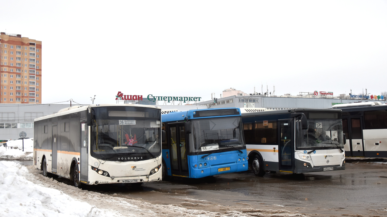 Московская область, Volgabus-5270.0H № 064086