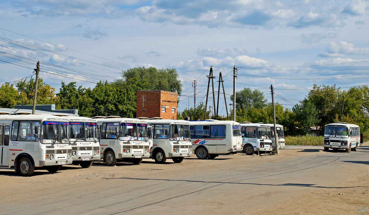 Саратовская область, ПАЗ-32054-07 № Р 119 СН 64; Саратовская область, ПАЗ-4234 № М 473 РА 64; Саратовская область, ПАЗ-4234 № Х 339 УА 64; Саратовская область — Разные фотографии