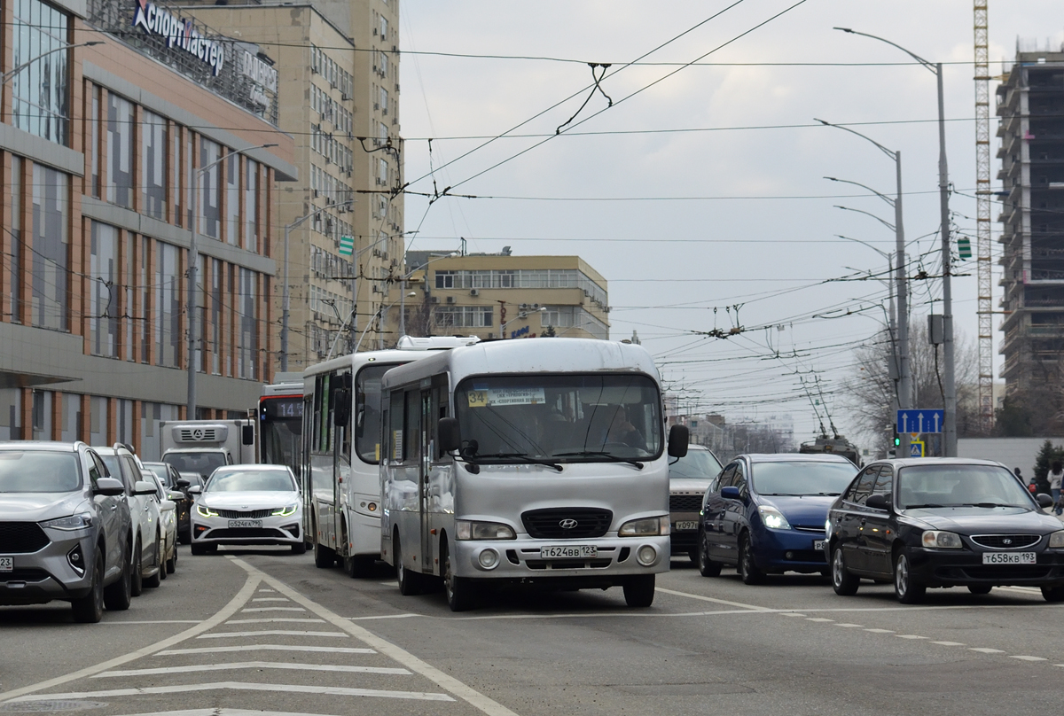 Краснодарский край, Hyundai County LWB C09 (ТагАЗ) № Т 624 ВВ 123