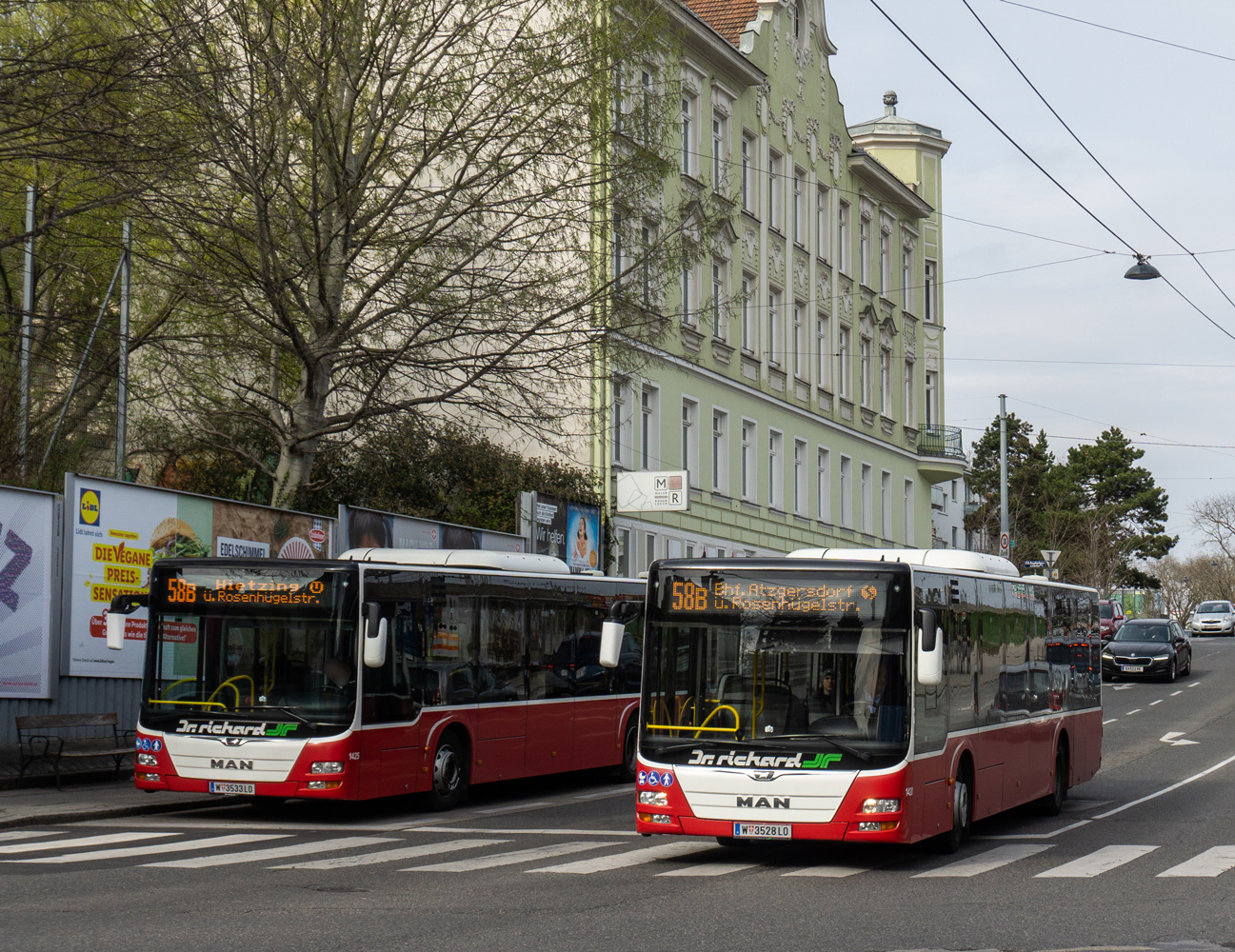 Австрия, MAN A21 Lion's City NL323 № 1420