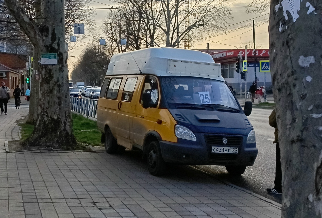 Краснодарский край, ГАЗ-322133 (XTH, X96) № С 431 ЕТ 123