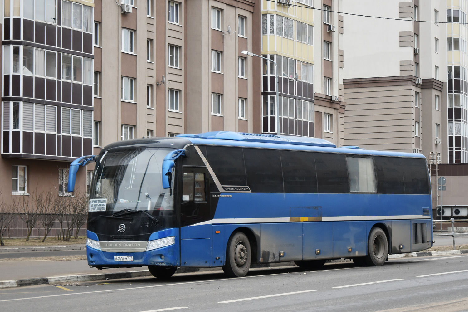 Московская область, Golden Dragon XML6127JR Snow Leopard № Н 341 РМ 797