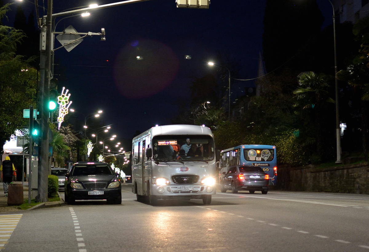 Krasnodar region, Hyundai County LWB C09 (TagAZ) # М 873 СС 123