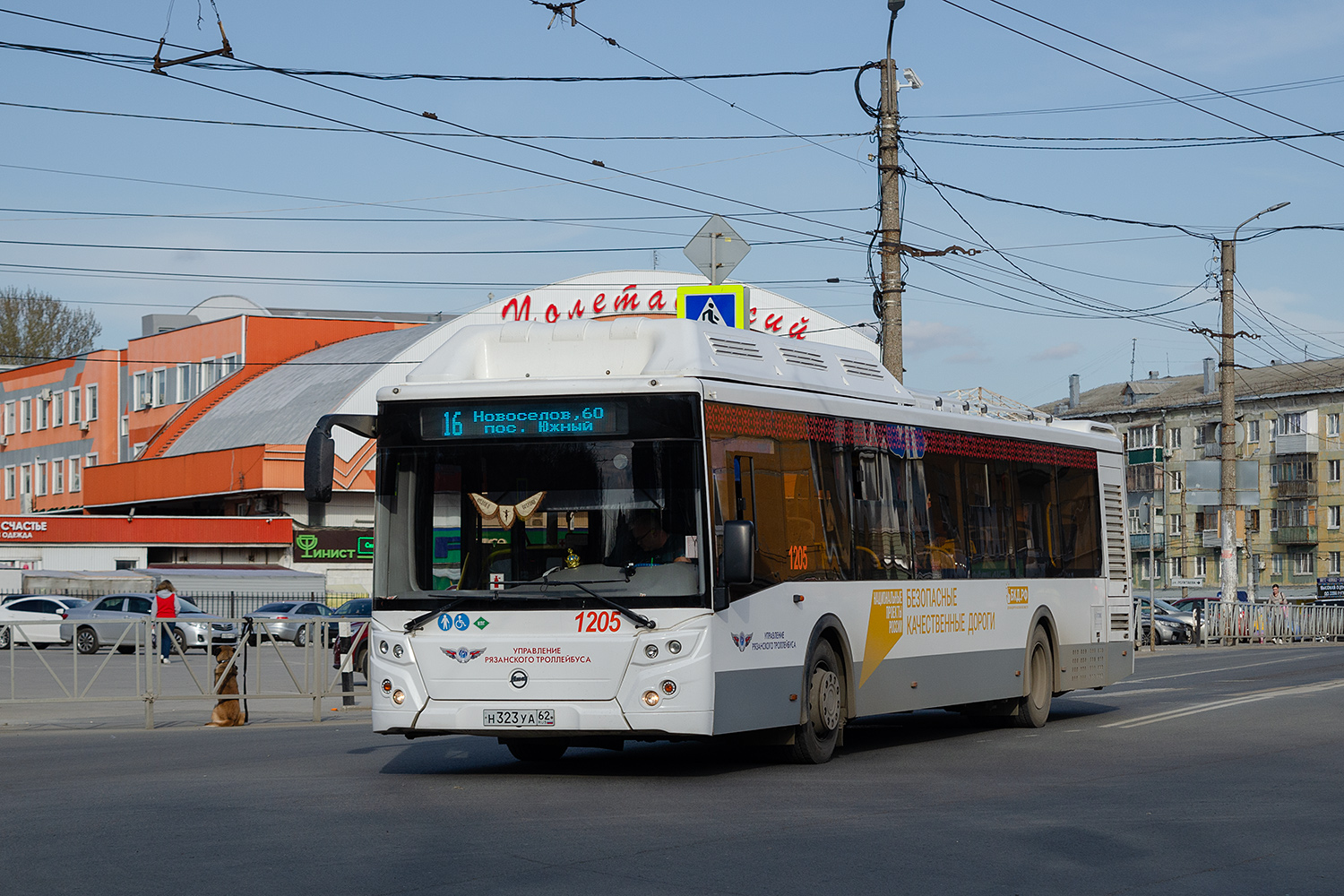 Рязанская область, ЛиАЗ-5292.67 (CNG) № 1205