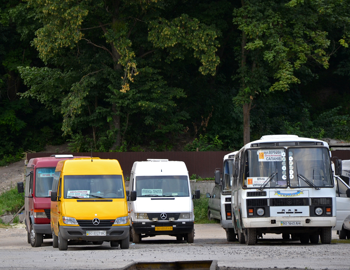Тернопольская область, Mercedes-Benz Sprinter W903 311CDI № BO 8927 BC; Тернопольская область, Mercedes-Benz Sprinter W904 411CDI № BO 0553 AA; Тернопольская область, ПАЗ-32051-110 № BO 1643 AH