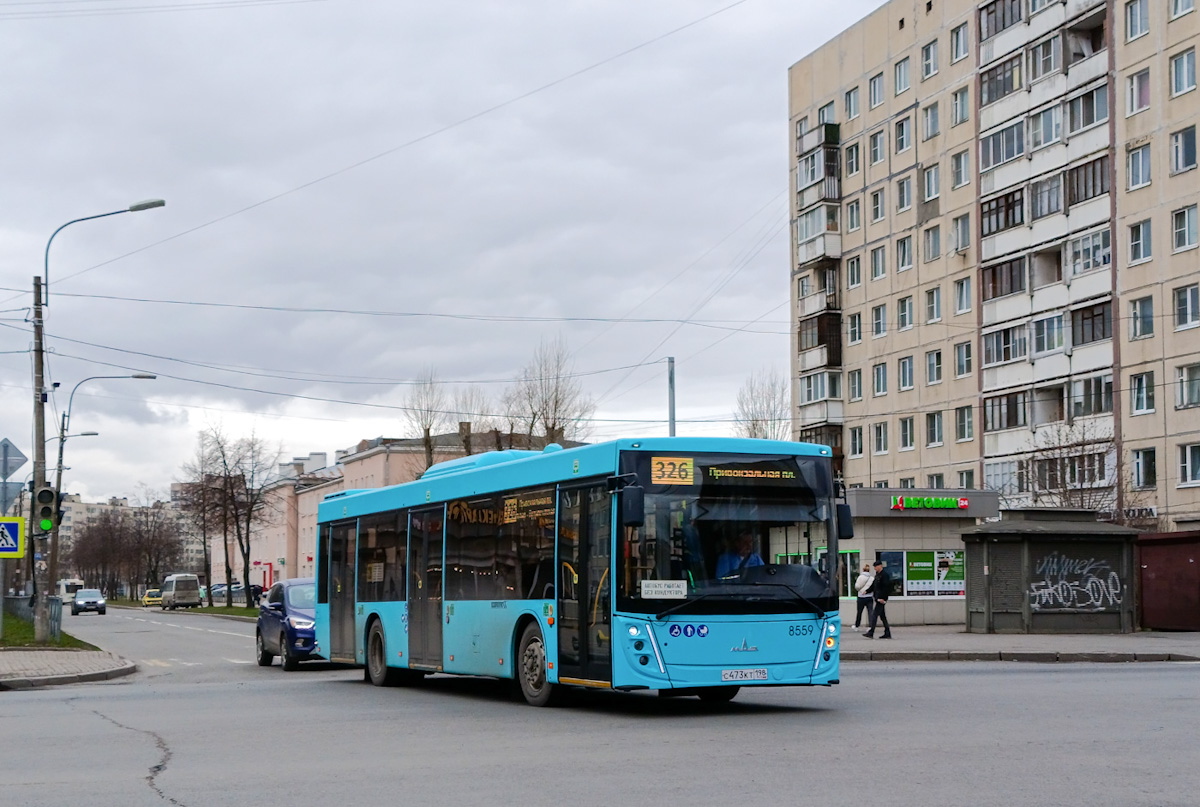 Санкт-Петербург, МАЗ-203.047 № 8559
