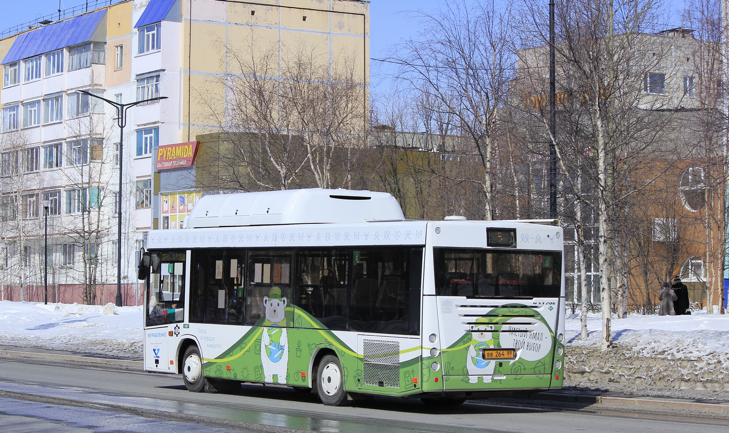 Ямало-Ненецкий АО, МАЗ-206.946 № ВВ 264 89