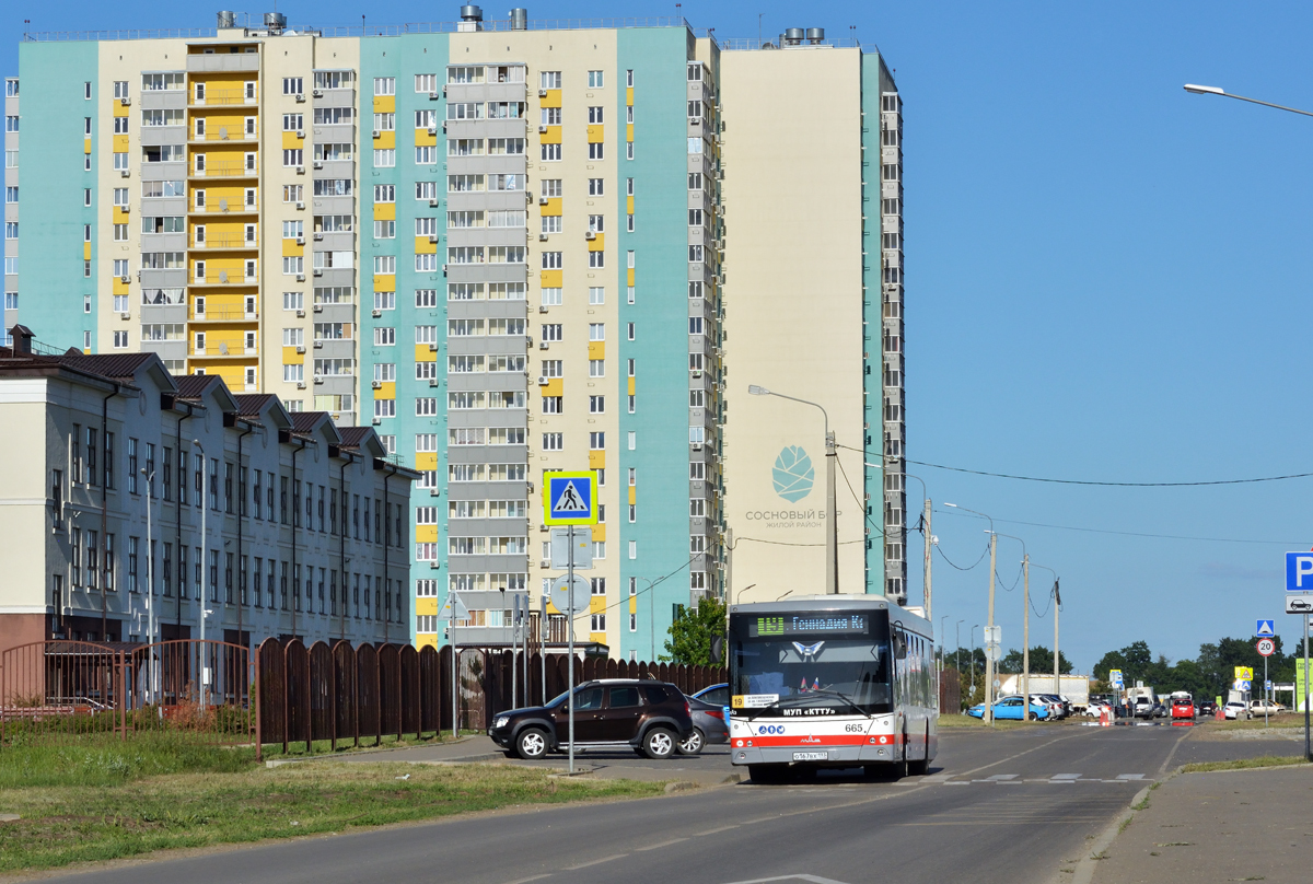 Краснодарский край, МАЗ-203.016 № 665