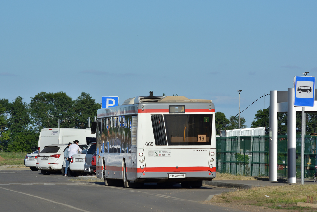 Краснодарский край, МАЗ-203.016 № 665