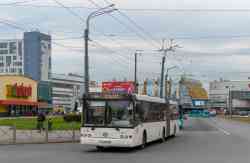 594 КБ