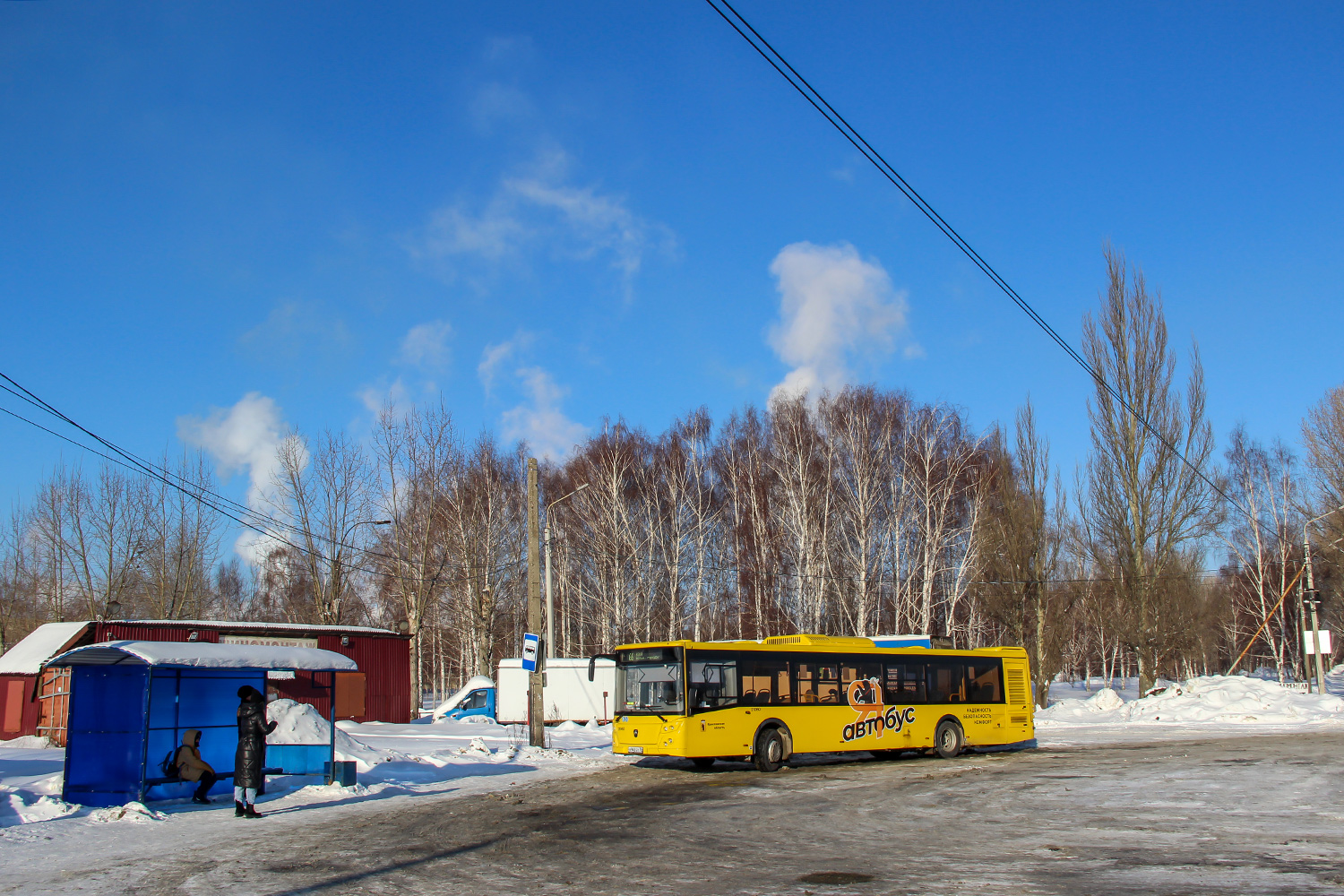 Ярославская область, ЛиАЗ-5292.65 № 21060
