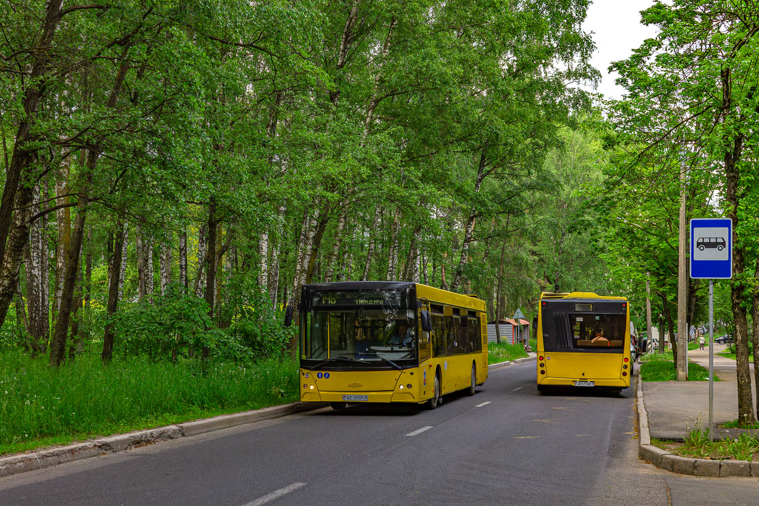 Minsk, MAZ-203.065 # 033341