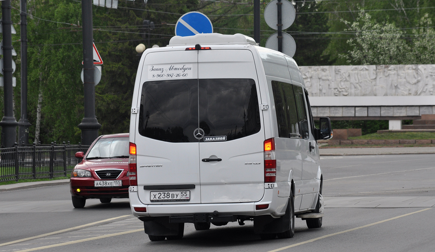 Омская область, Луидор-223602 (MB Sprinter) № Х 238 ВУ 55