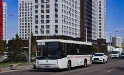629 КБ