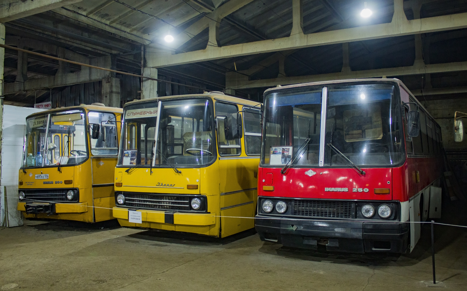 Красноярский край, Ikarus 250.93 № В 126 КК 124; Красноярский край — Разные фотографии